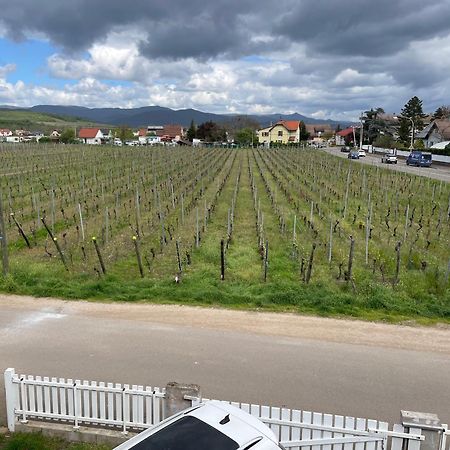 Apartament Au Petit Logelbach Wintzenheim Zewnętrze zdjęcie