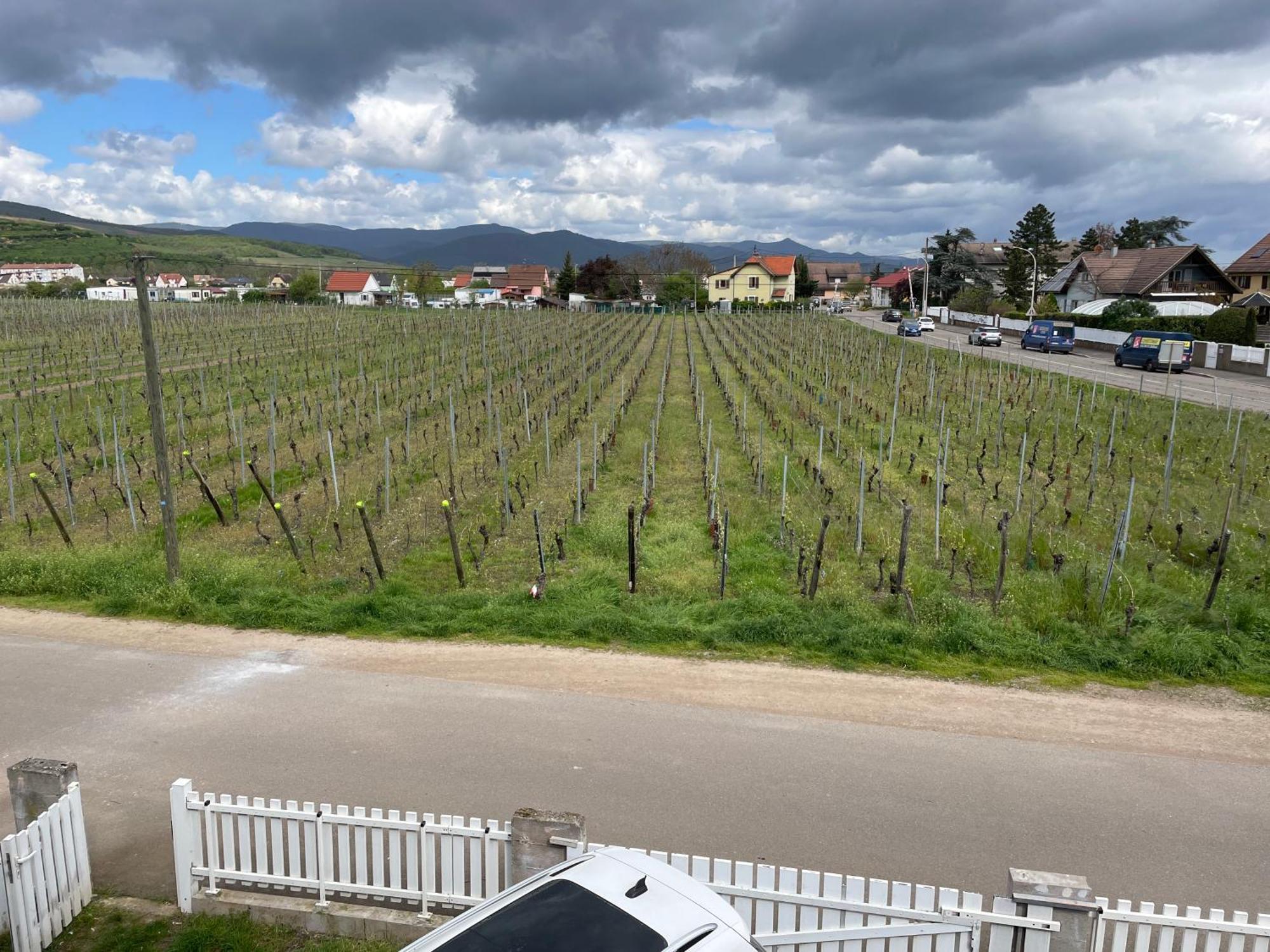 Apartament Au Petit Logelbach Wintzenheim Zewnętrze zdjęcie